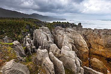 Eroded Coastal Rock Columns of Pancake Rocks Rising Above Native Vegetation, Paparoa National Park, New Zealand