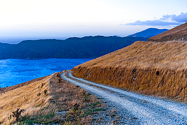 Winding Coastal Gravel Road Leading Toward the French Pass, South Island, New Zealand