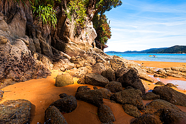 Vertical Shot of Golden Cove Framed by Forest and Rocks, Abel Tasman National Park, New Zealand