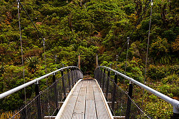 Suspension bridge entering a jungle, New Zealand, Pacific