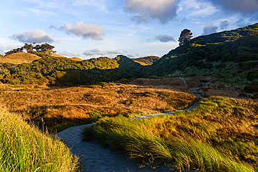 Golden Hills and Shadowed Valleys in Remote New Zealand Farmland at Sunset
