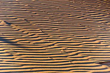 Close-Up of Parallel Wind Ripples in Dry Coastal Sand Dune at Sunset, New Zealand