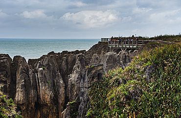 Textured Pancake Rocks Overlooking the Tasman Sea with Native Shrubs, Paparoa National Park, New Zealand