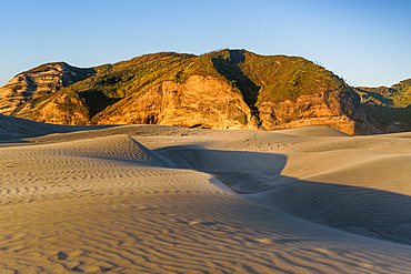 Soft Shadows and Patterns on Rolling Sand Dunes at Sunset, Wharariki Beach, Golden Bay, New Zealand