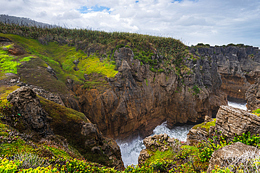 Blowhole and Carved Limestone Cliffs at Pancake Rocks, Punakaiki, Paparoa National Park, New Zealand