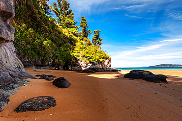 Secluded Sandy Cove Surrounded by Rocky Cliffs and Native Forest, Abel Tasman National Park, New Zealand