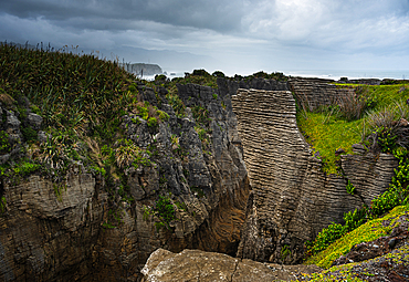 Dense Coastal Vegetation Framing Pancake Rock Cliffs in Punakaiki, West Coast, New Zealand