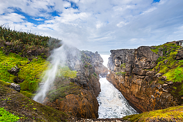 High Tide Blowhole Spray Rising Above Coastal Cliffs at Pancake Rocks, Punakaiki, New Zealand