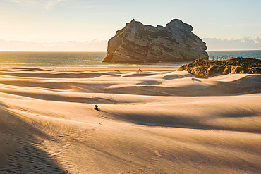 Solitary Walker Across Vast Dunes with Archway Island at Sunrise, Wharariki Beach, New Zealand