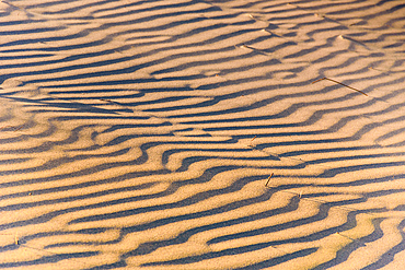 Golden Sand Dune Ripples in Soft Light at Wharariki Beach, South Island, New Zealand