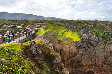 Tourists Viewing Coastal Blowholes from Clifftop Walk at Pancake Rocks, Punakaiki, New Zealand