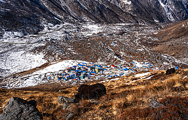 Solitary yak above Kyanjin Gompa settlement, with Himalayan ridges and snowy valley floor stretching through Langtang, Nepal