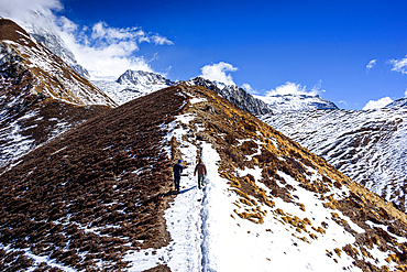 Trekker walking along narrow snowy ridge trail on Kyanjin Ri with panoramic views of Langtang Himal near Kyanjin Gompa, Nepal