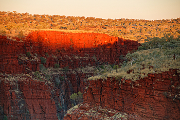 Sunset in the steep red rocky cliffs of Hancock Gorge in Western Australia, Australia, Pacific