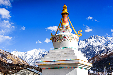 White Buddhist stupa with golden spire standing before the snow-covered Gangchempo and Tserko Ri in Langtang Valley, Nepal
