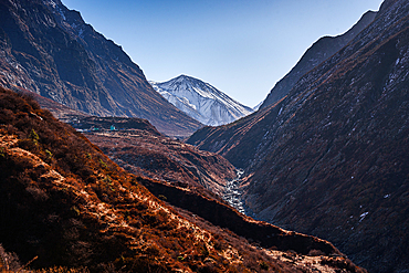 Panoramic trail view toward snow-covered Tserko Ri peak with steep ridges and valley terrain in Langtang Valley, Nepal