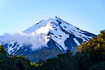 Close up evening view of Mount Taraniki, snowy volcano summit with a blue sky and forest, North Island, New Zealand, Pacific