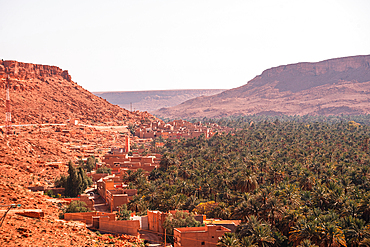 Aerial view of palm-filled oasis and red clay village nestled between rugged desert cliffs in the Ziz Valley, near Errachidia, Morocco