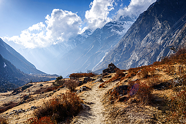 Mountain trail winding through Langtang Valley with golden grasses and dramatic sunlight piercing through the high Himalayas