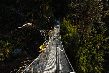 Narrow suspension bridge with fluttering prayer flags crossing deep forest gorge in Langtang Valley, Nepal, seen from a moody elevated angle