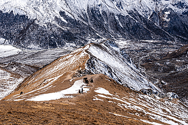 Aerial view of trekkers climbing narrow ridge trail toward Kyanjin Ri summit, flanked by snowy slopes in Langtang, Nepal