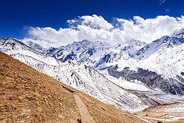 Mountain trail winding down from Kyanjin Ri with breathtaking snow-covered ridges and distant Langtang peaks, Nepal