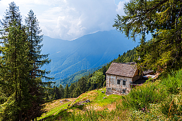 Rural alpine life with a cabin above a vast mountain valley, Italian Alps, Italy, Europe