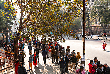 People crossing a busy Kathmandu road in the morning sunlight near Ratna Park with trees casting long shadows
