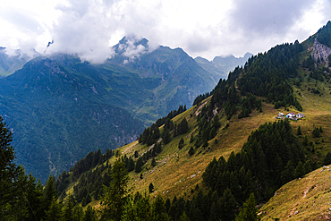 Summer Alpine slopes with meadows and forest, and idyllic mountain hut to welcome hikers, Italian Alps, Italy, Europe