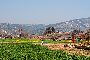 Scenic agricultural fields with a farmer working under the hills and blue sky near Bhaktapur, Nepal