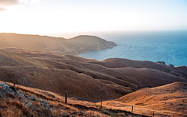 The golden glow of sunset lights the rolling coastal hills above the Pacific Ocean at French Pass, Marlborough Sounds, New Zealand.