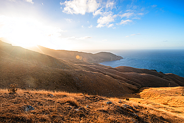 Rolling hills meet the deep blue Pacific Ocean in a dramatic coastal view at French Pass, Marlborough Sounds, South Island, New Zealand.