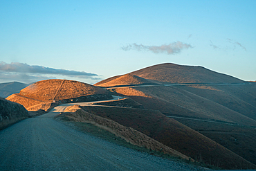 A solitary gravel road winds through sunlit golden hills near French Pass in the Marlborough Sounds, New Zealand.