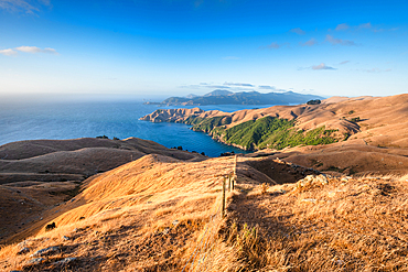 Elevated view across golden hills to the turquoise waters of the Pacific Ocean at French Pass, Marlborough Sounds, New Zealand.