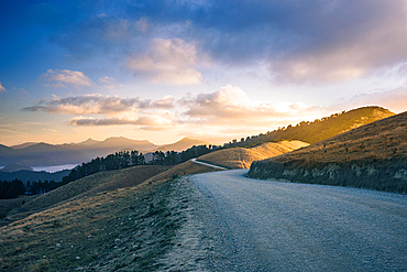 gravel road winds through sunlit hills near French Pass in the Marlborough Sounds, New Zealand.