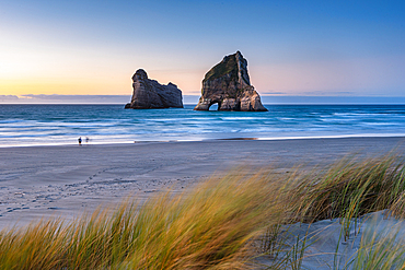 Sunset at the iconic Archway Islands off Wharariki Beach in Golden Bay, New Zealand. Windswept grasses frame the view of this remote and unspoiled coastal landscape
