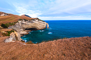 Golden fields meet steep cliffs and blue ocean at Cape Farewell, South Island’s northernmost point, New Zealand.