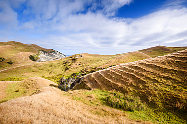 Rolling farmland and terraced hills above the dramatic coastline of Cape Farewell, the northernmost point of the South Island, Puponga Farm Park New Zealand.