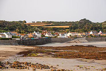 Coastal houses and fields overlooking Rocquaine Bay and tidal flats, Guernsey, Channel Islands, United Kingdom.