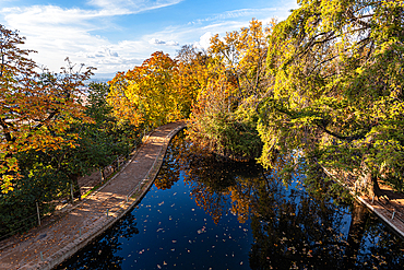 A tree-lined pond with golden autumn foliage reflected in Carmen de los Mártires gardens, Alhambra, Granada, Spain.
