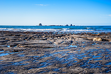 Tidal rock shelves exposed at low tide along the Tasman Sea near Westport, West Coast, South Island, New Zealand.
