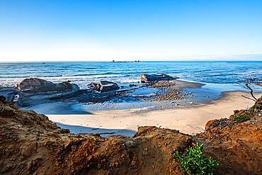 Tidal rocks and golden sand at Cape Foulwind on the West Coast of the South Island, New Zealand.