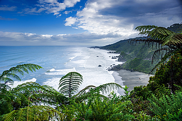Panoramic view of the rugged West Coast near Kahurangi National Park, rugged foresty cliffs and fern native bush, South Island, New Zealand