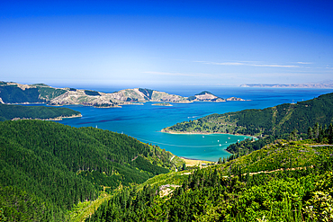 Scenic landscape of Marlborough Sounds, a network of sea-drowned valleys famous for boating and hiking in South Island, New Zealand.