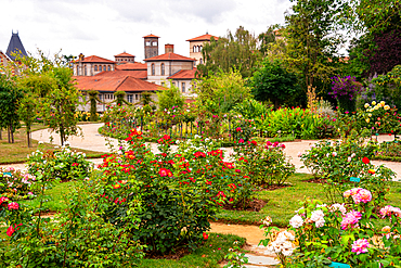Rose garden in Parc du Thabor with blooming flowers and elegant French architecture in Rennes Brittany France