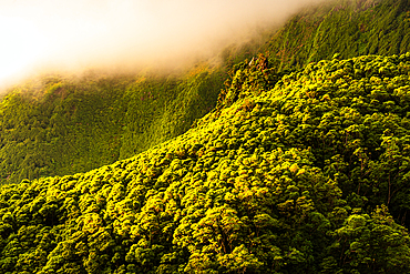 Low clouds drifting over the lush green highlands on Flores Island, Azores, Portugal.