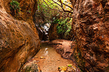 A shaded stretch of the Barranco de Luna route, with reddish rock formations and lush greenery contrasting against the canyon floor.