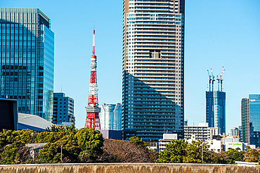 Skyscraper in Tokyo with the red iconic Tokyo Tower, Tokyo, Honshu, Japan, Asia