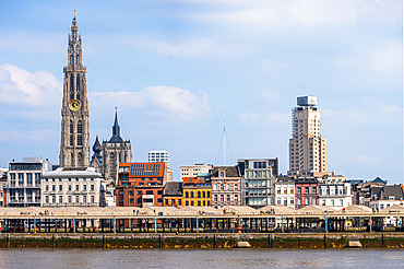 Skyline of city across the River Schelde with Waterfront and Cathedral tower, Antwerp, Belgium, Europe