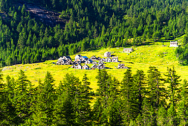 Picturesque alpine village built of rocks, surrounded by lush green meadows and forest, Varzo, Alpe Veglia, Verbania, Piedmont, Italy, Europe